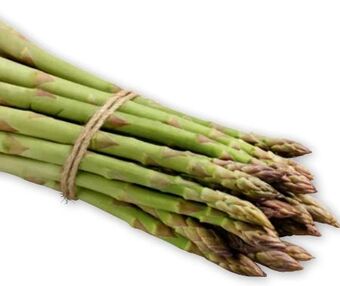 PENNY Spargel Angebot