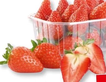 SPAR Gourmet Erdbeeren Angebot