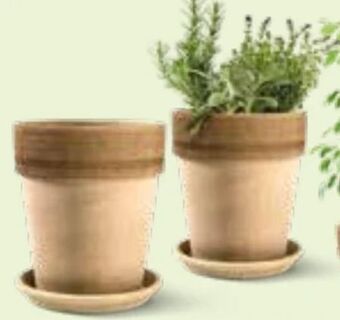 Interspar Tontöpfe Vulcano Angebot