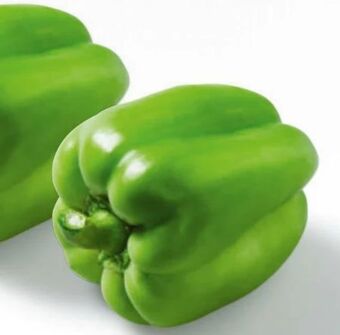 Billa Paprika Angebot