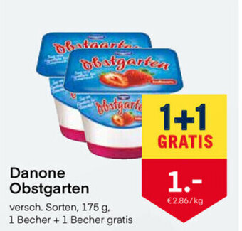 MPreis Danone Obstgarten 175 g Angebot
