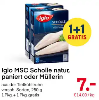 MPreis Iglo MSC Scholle Natur,Paniert Oder Müllerin 250 g Angebot