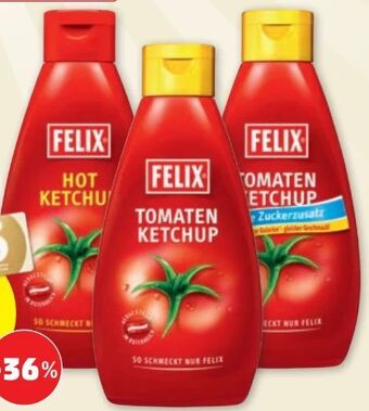 PENNY Ketchup Angebot