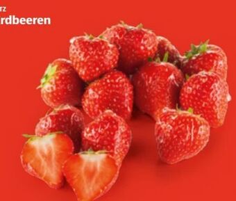 Hofer Erdbeeren Angebot