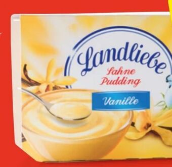 Hofer Pudding Angebot