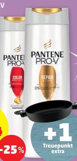 PENNY Shampoo Angebot