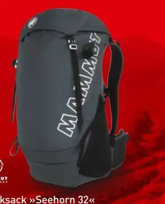 Intersport Rucksack Seehorn 32 Angebot