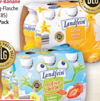 Norma Active Drink Angebot