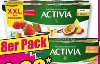 Norma Activia Joghurt Angebot