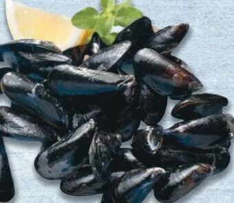 Metro Miesmuscheln Angebot