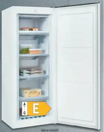 Metro Gefrierschrank GS230-010E Angebot