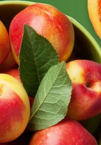 Lidl Nektarinen Angebot