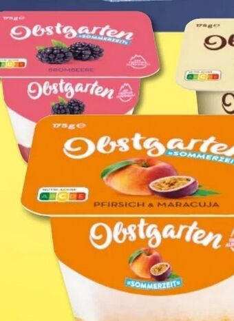 Lidl Obstgarten Angebot