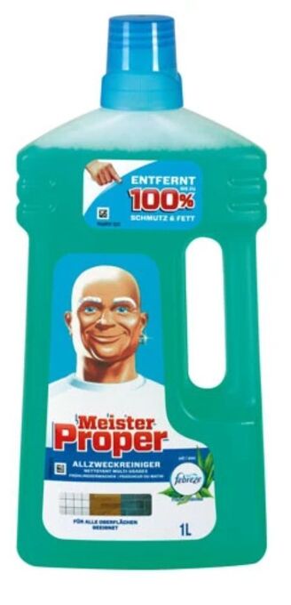 dm Allzweckreiniger Angebot