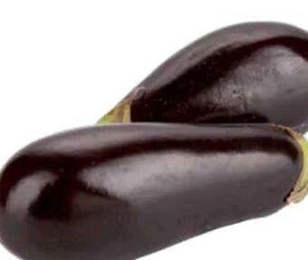 Transgourmet Melanzani Angebot