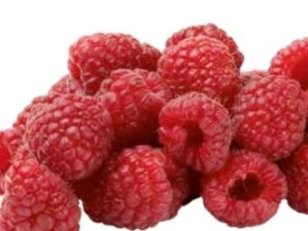 Transgourmet Himbeeren Angebot