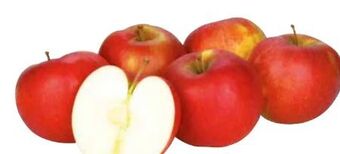 Transgourmet Äpfel Angebot