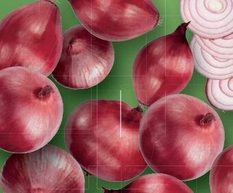 Lidl Zwiebel Angebot