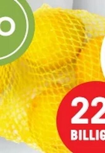 MPreis Bio-Zitronen Angebot