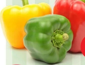 MPreis Paprika Tricolore Angebot