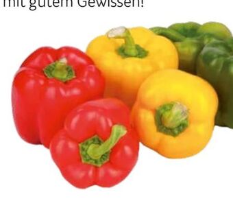 Transgourmet Bio Paprika Mix Angebot