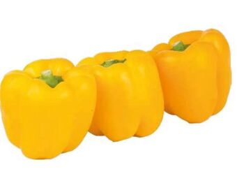 Transgourmet Bio Paprika Mix Angebot