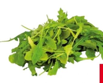 Transgourmet Bio Rucola Angebot