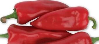 PENNY Spitzpaprika Angebot