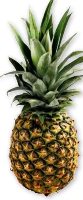 PENNY Ananas Angebot