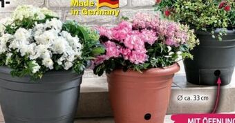 Norma Blumentopf Flora Angebot