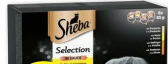 PENNY Selection Angebot