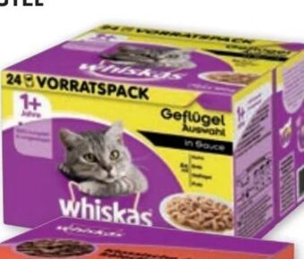 PENNY Katzenfutter Frischebeutel Angebot