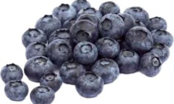 Transgourmet Heidelbeeren Angebot