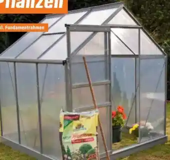 OBI Gewächshaus Angebot