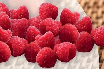 PENNY Himbeeren Angebot