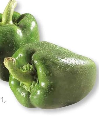 SPAR Gourmet Paprika Angebot