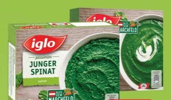 Spar Spinat Passiert Angebot