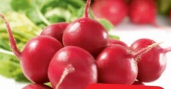 Spar Radieschen Angebot