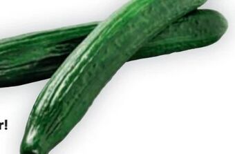 Billa Gurken Angebot