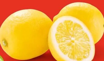 Hofer Zitronen Angebot