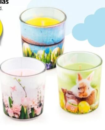 Hofer Duftkerze Angebot