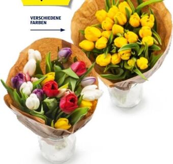 Hofer Tulpen Bouquet Angebot