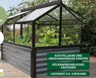 Dehner Hochfrühbeet Gaia Jumbo Angebot