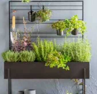 Dehner Hochbeet Angebot