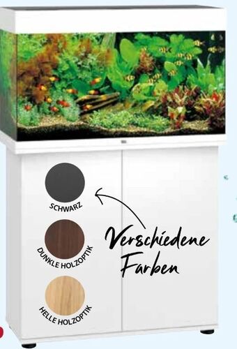 Dehner Juwel Aquarium-Kombination Rio 125 Angebot