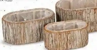 Korb Pinienrinde