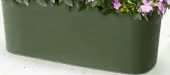 Bellaflora Blumenkasten Paros Angebot