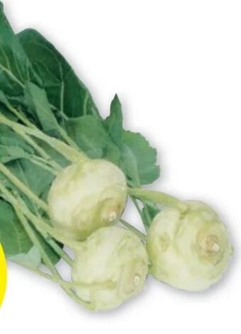 PENNY Kohlrabi Angebot