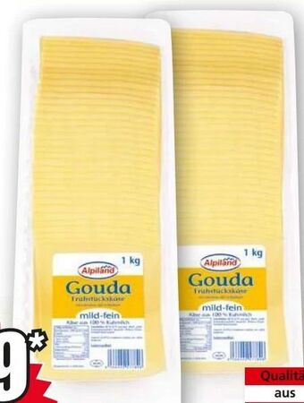 Norma Gouda Angebot