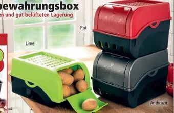 Norma Kartoffel-Gemüse Aufbewahrungsbox Angebot